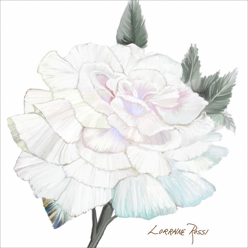 Rossi Lorraine, PEACE ROSE II (Rose, Blume, Blüte, elegant, zart, Grafik, Wunschgröße, Wohnzimmer, Treppenhaus, Schlafzimmer, weiß)
