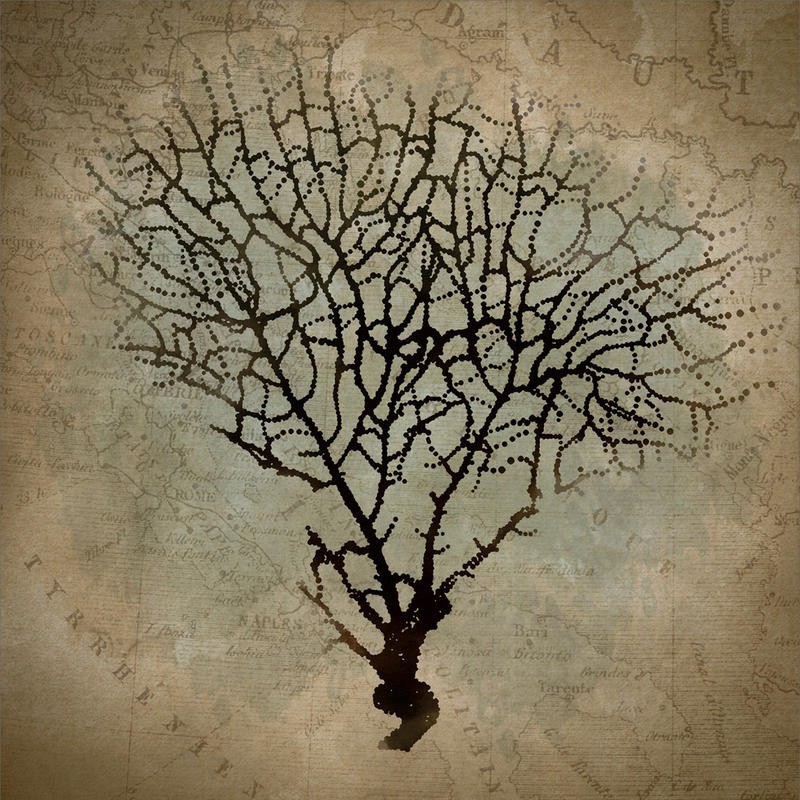 Taylor Greene, CORAL MAP II (Landkarte, Koralle, Korallenäste, Korallenbaum, Silhouette, maritim, Wunschgröße, Treppenhaus, Wohnzimmer,)