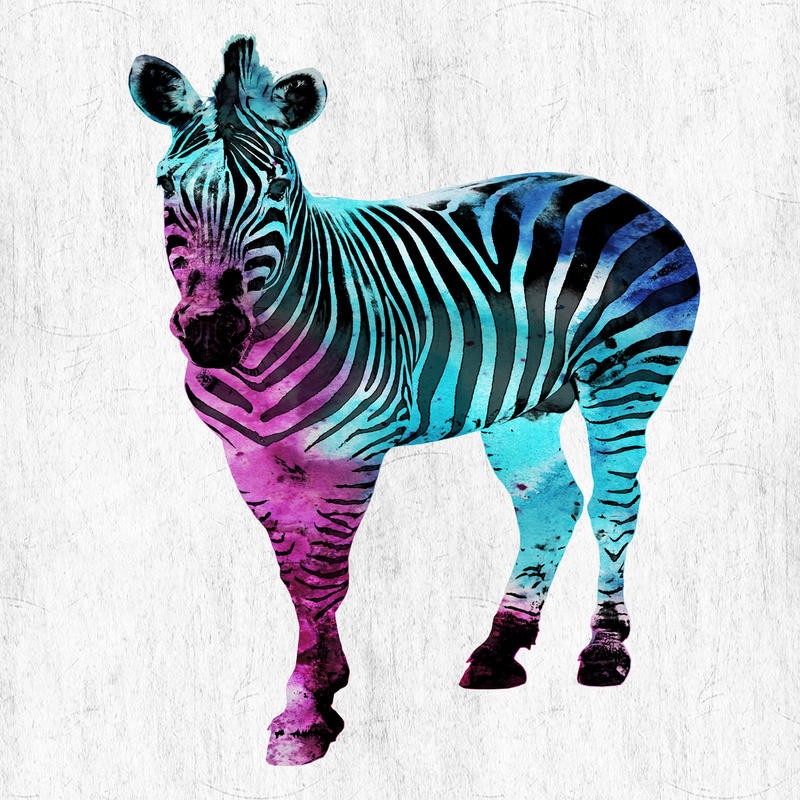 Sheldon Lewis, WILD ZEBRA (Zebra, Afrika, Großwild, Tier, Fotokunst, pop art, Wunschgröße, Grafik, Jugendzimmer, Wohnzimmer, Treppenhaus, neon/bunt)