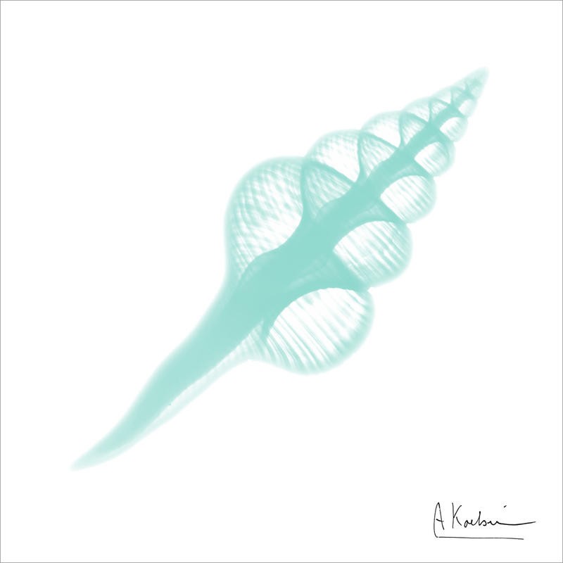 Albert Koetsier, LIGHT MINT I (X-RAY)