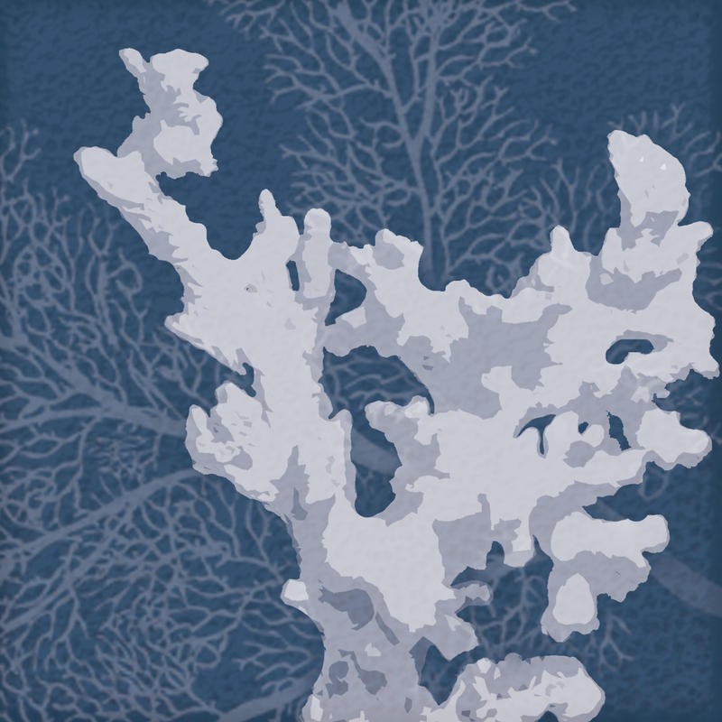 Lauren Gibbons, SEA CORAL WHITE II (MARITIM)