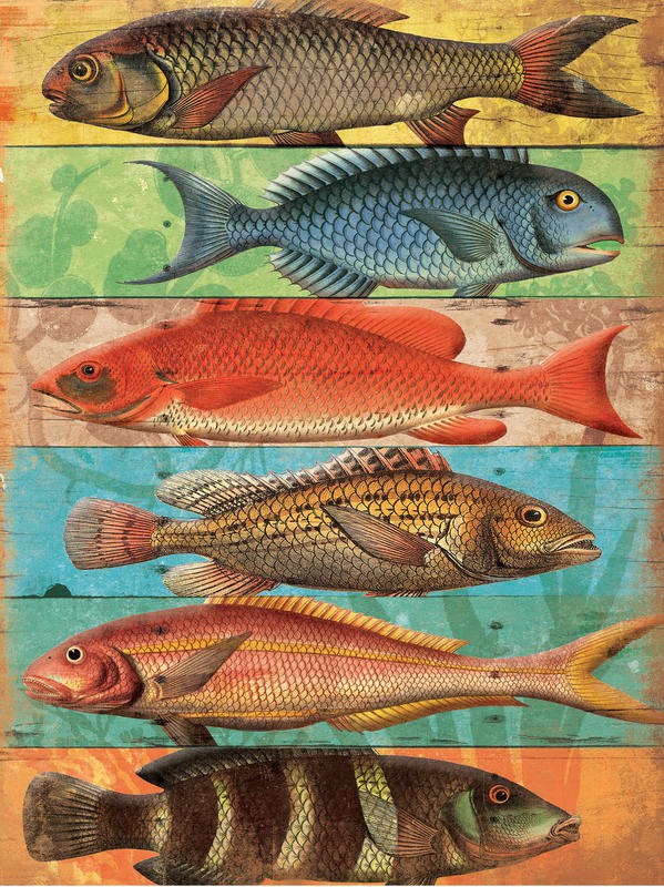 Jace Grey, FISH WALL I (MARITIM)