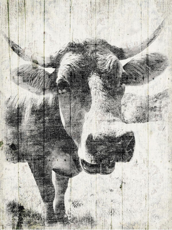 Jace Grey, VINTAGE BULL (TIERE)