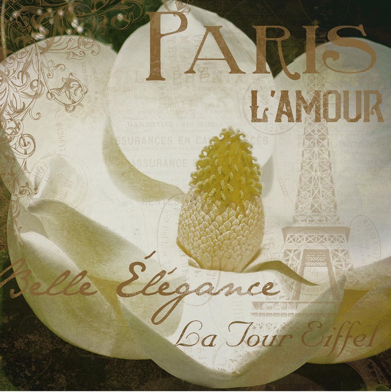 Jace Grey, MAGNOLIA PARIS II (BLUMEN)