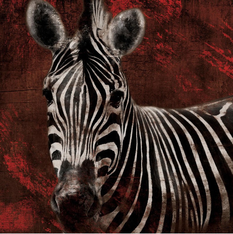 Jace Grey, STREAKS ZEBRA (TIERE)