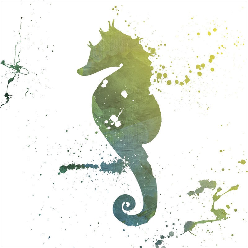 Jace Grey, SPLATTER SEAHORSE (MARITIM)
