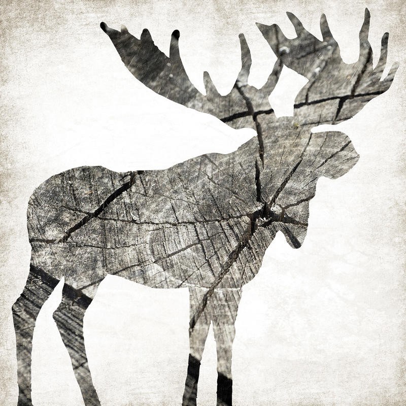 Jace Grey, WOOD MOOSE I (TIERE)