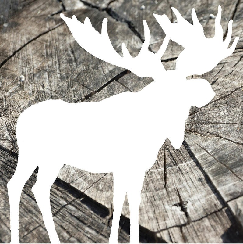Jace Grey, WOOD MOOSE WHITE I (TIERE)