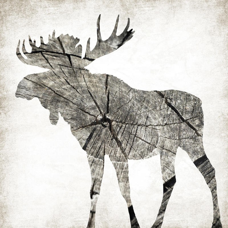 Jace Grey, WOOD MOOSE II (TIERE)