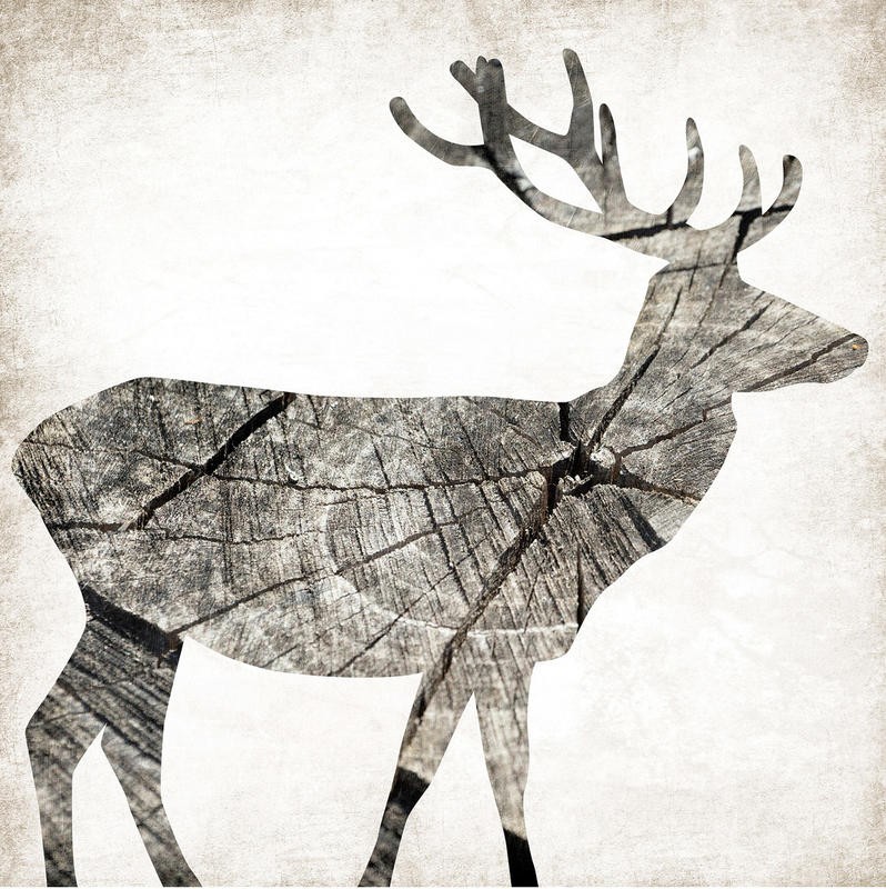 Jace Grey, WOOD DEER I (TIERE)