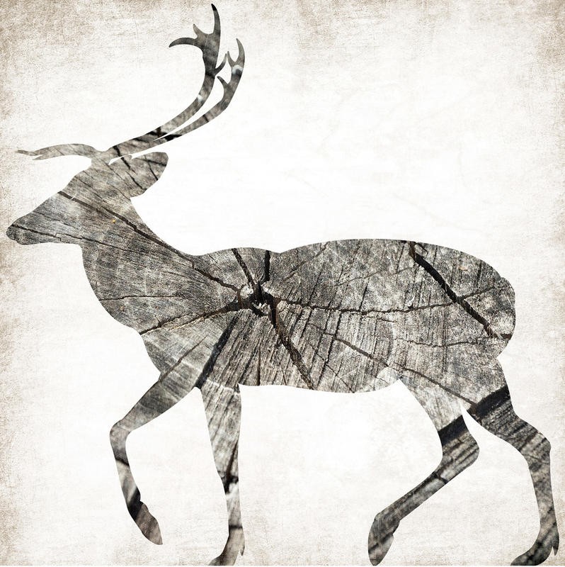 Jace Grey, WOOD DEER II (TIERE)