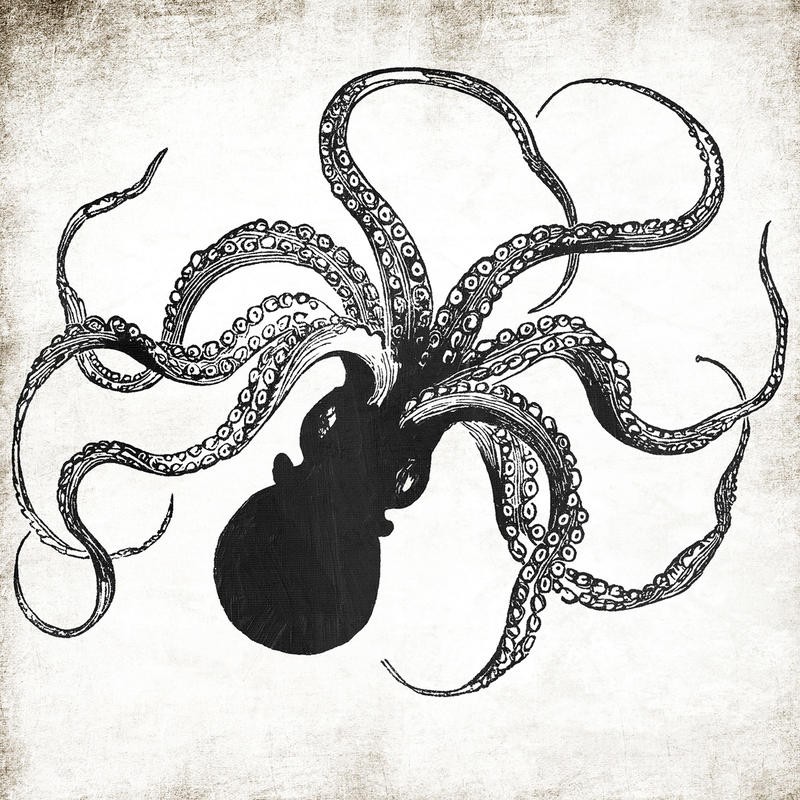 Jace Grey, INK OCTOPUS (MARITIM)