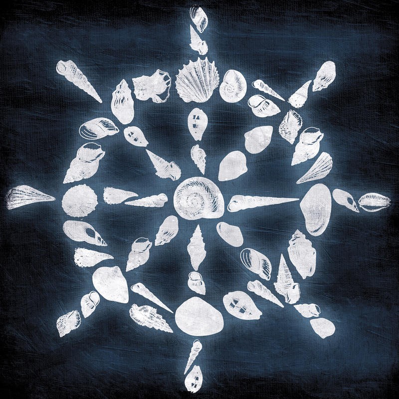 Jace Grey, SHELL WHEEL II (MARITIM)