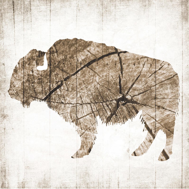 Jace Grey, WOOD BUFFALO (TIERE)