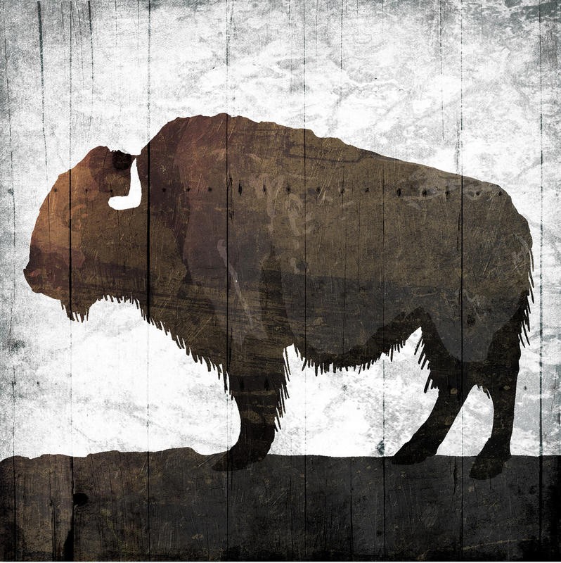 Jace Grey, AGED BUFFALO (TIERE)