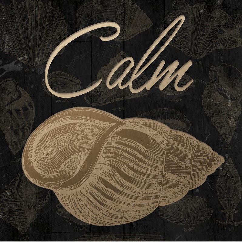 Jace Grey, SHELL CALM (WELLNESS)