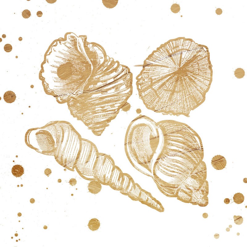 Jace Grey, GOLD SPLATTER SHELLS I (MARITIM)