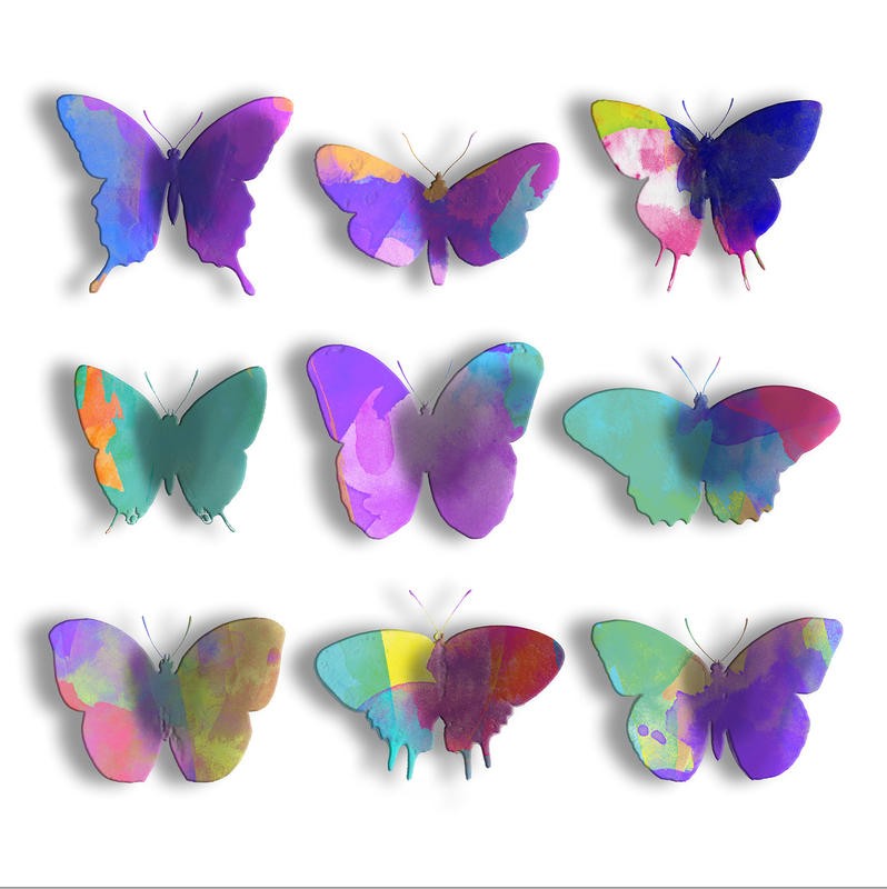 Jace Grey, WATERCOLOR BUTTERFLIES I (BIENEN + SCHMETTERLINGE)