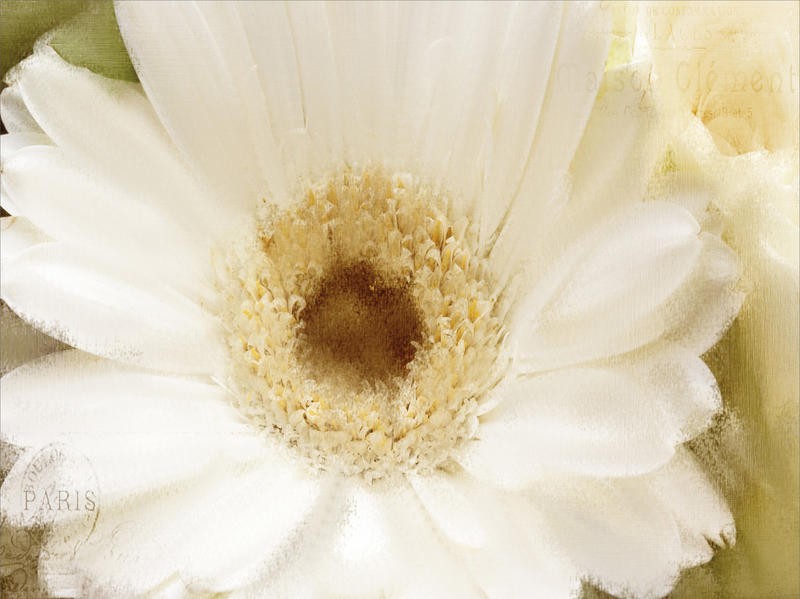 Kimberly Allen, IN BLOOM (Blume, Blüte, Blütenblätter, Nahansicht, Wohnzimmer, Treppenhaus, Schlafzimmer, Malerei, Wunschgröße, weiß)