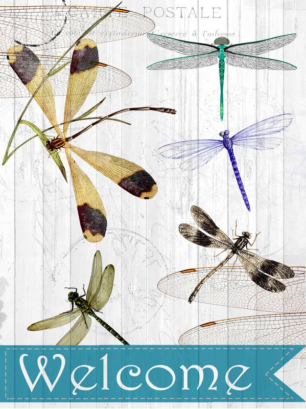 Kimberly Allen, WELCOME DRAGONFLIES (Libellen, Insekten, Willkommen, Postkarte, Nostalgie, Grafik, Wohnzimmer, Treppenhaus, Schlafzimmer,  Wunschgröße, bunt)