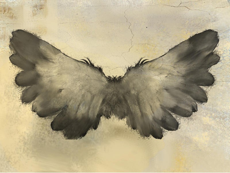 Kimberly Allen, IN FLIGHT I (Flügel, Federn, Engelsflügel, Vogelfedern, Malerei, Grisaille, Wohnzimmer, Treppenhaus, Schlafzimmer, Wunschgröße, grau/beige)