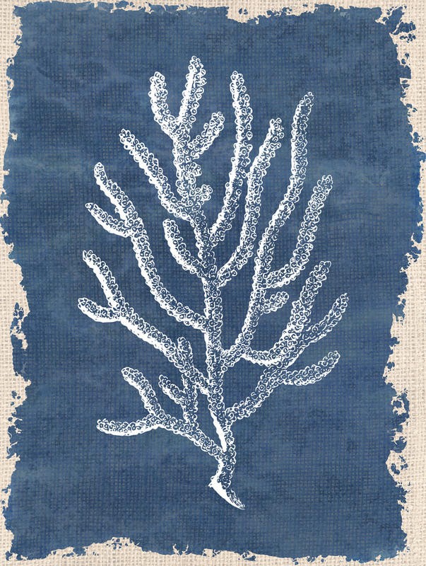 Kimberly Allen, BLUE HUE CORAL I (Maritim, Koralle, Baumkoralle, Grafik, Wohnzimmer, Treppenhaus, Badezimmer, Wunschgröße, beige/blau)