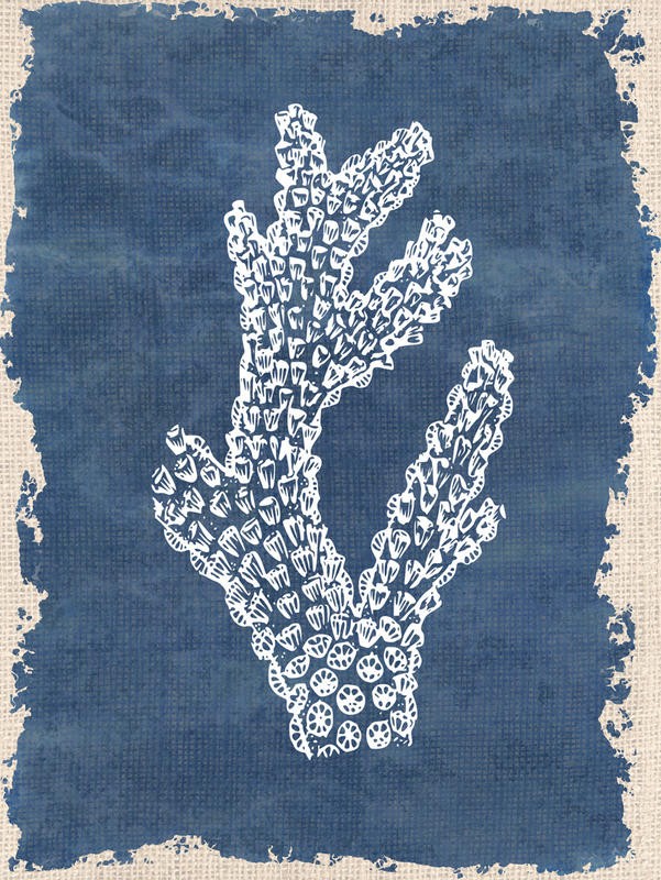 Kimberly Allen, BLUE HUE CORAL II (Maritim, Koralle, Baumkoralle, Grafik, Wohnzimmer, Treppenhaus, Badezimmer, Wunschgröße, beige/blau)