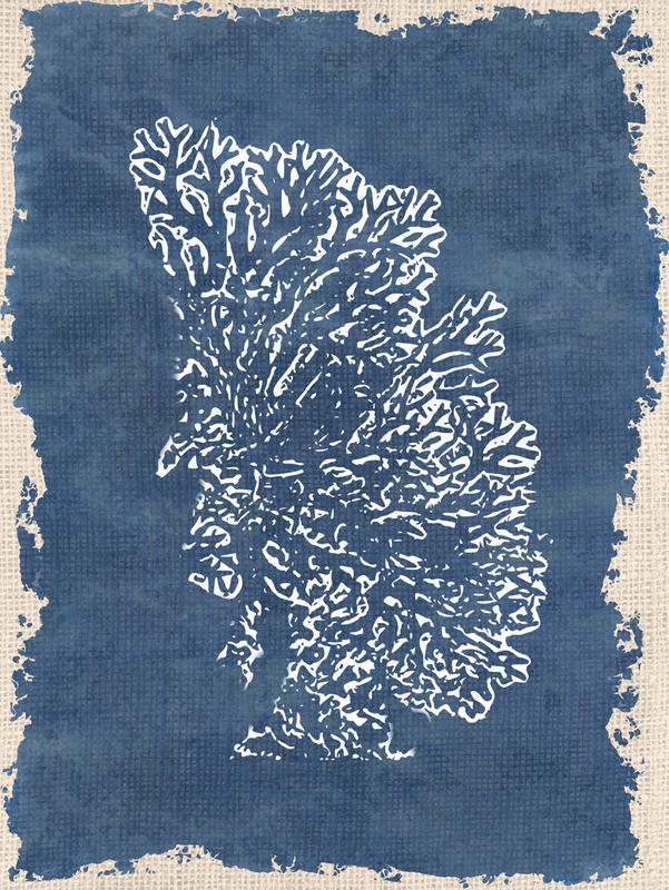 Kimberly Allen, BLUE HUE CORAL III (Maritim, Koralle Fächerkoralle, Grafik, Wohnzimmer, Treppenhaus, Badezimmer, Wunschgröße, beige/blau)
