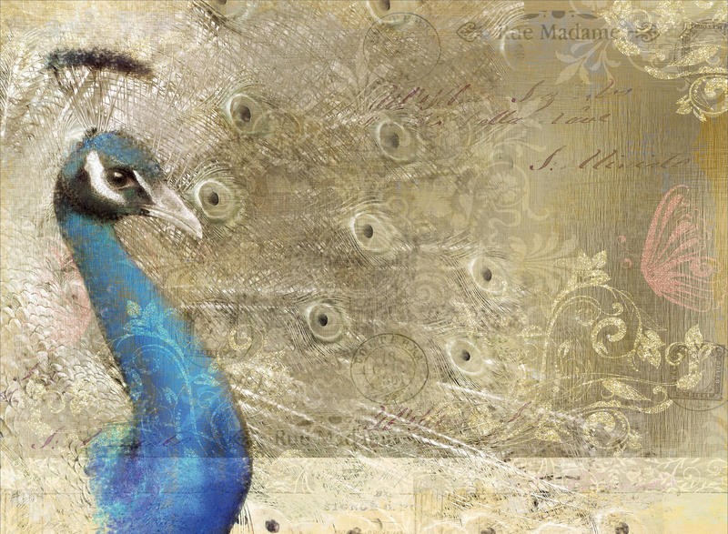 Kimberly Allen, PEACOCK ROYAL (Pfau, Pfauenfedern, Rad schlagen, Pfauenaugen, Vogel, Postkarte, Nostalgie, Grafik, Wohnzimmer, Treppenhaus, Schlafzimmer,  Wunschgröße, beige/blau)