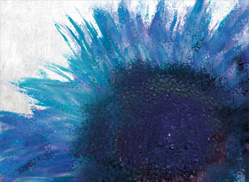 Kimberly Allen, BLOOMING SUNFLOWER (Blume, Blüte, Blütenblätter, Sonnenblume, stilisiert, modern, Nahansicht, Wohnzimmer, Treppenhaus, Schlafzimmer, Malerei, Wunschgröße, blau)