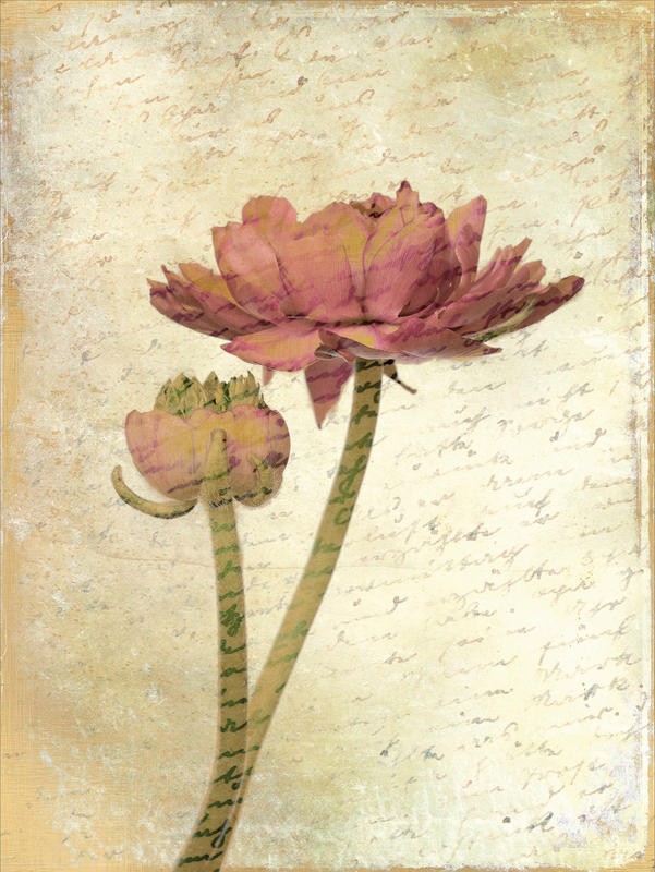 Kimberly Allen, TENDER I (Willkommen, Blumen, Blüten, Blütenblätter, Knospen, Kaligrafie, Handschrift, Botanik, Wohnzimmer, Treppenhaus, Schlafzimmer, Malerei, Wunschgröße, bunt)
