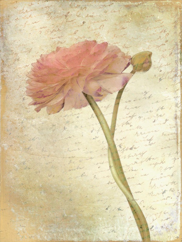 Kimberly Allen, TENDER II (Willkommen, Blumen, Blüten, Blütenblätter, Knospen, Kaligrafie, Handschrift, Botanik, Wohnzimmer, Treppenhaus, Schlafzimmer, Malerei, Wunschgröße, bunt)