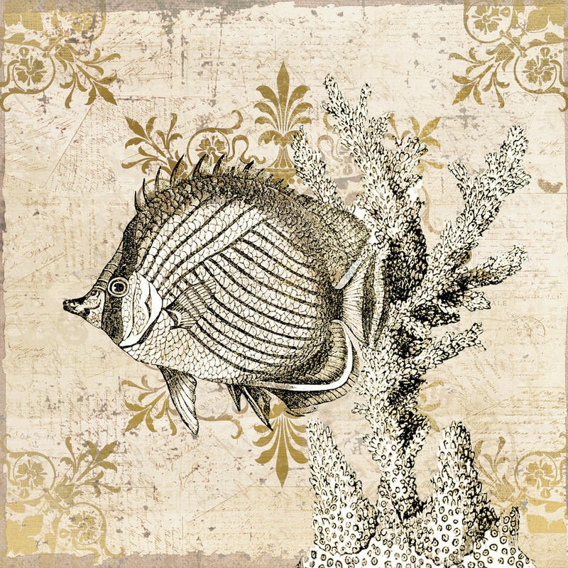 Kimberly Allen, MARINE LIFE I (Maritim, Koralle, Korallenfisch, Grafik, Wohnzimmer, Treppenhaus, Badezimmer, Wunschgröße, beige/gold)