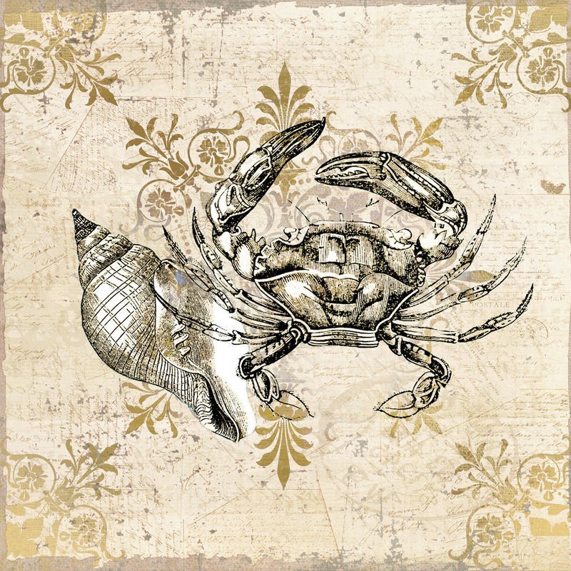 Kimberly Allen, MARINE LIFE II (Maritim, Krebs, Krabbe, Seeschnecke,florale Muster, Grafik, Wohnzimmer, Treppenhaus, Badezimmer, Wunschgröße, beige/gold)