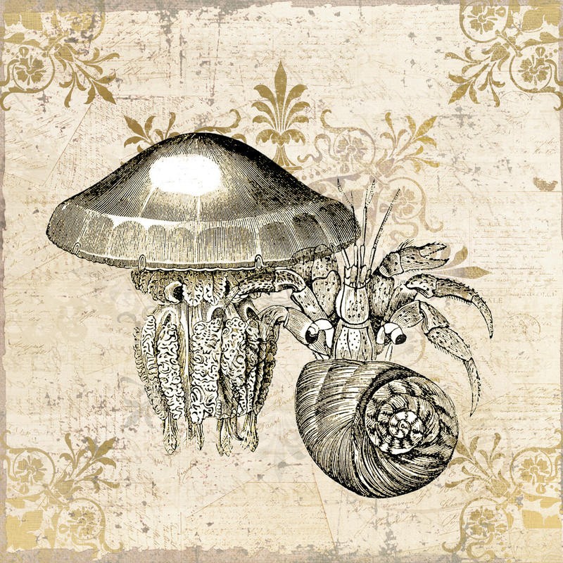 Kimberly Allen, MARINE LIFE III (Maritim, Krebs, Einsiedlerkrebs, Schneckenhaus, Qualle, florale Muster, Grafik, Wohnzimmer, Treppenhaus, Badezimmer, Wunschgröße, beige/gold)