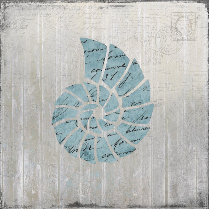 Kimberly Allen, SEASHELL II (Maritim, Seeschnecke, Kaligrafie,  Handschriften, Grafik, Wohnzimmer, Treppenhaus, Badezimmer, Wunschgröße, beige/hellblau)