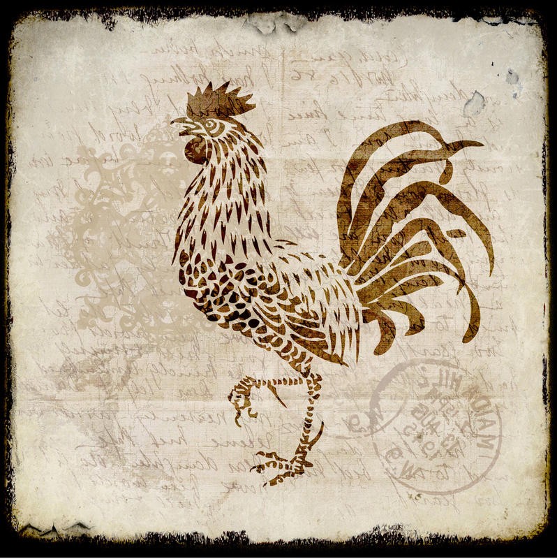Kimberly Allen, VINTAGE ROOSTER SQUARE II (Hahn, Vogel, Kalligrafie, Nostalgie, Retro/Vintage,  Grafik, Wohnzimmer, Treppenhaus,  Küche, Esszimmer, Wunschgröße, braun/beige)