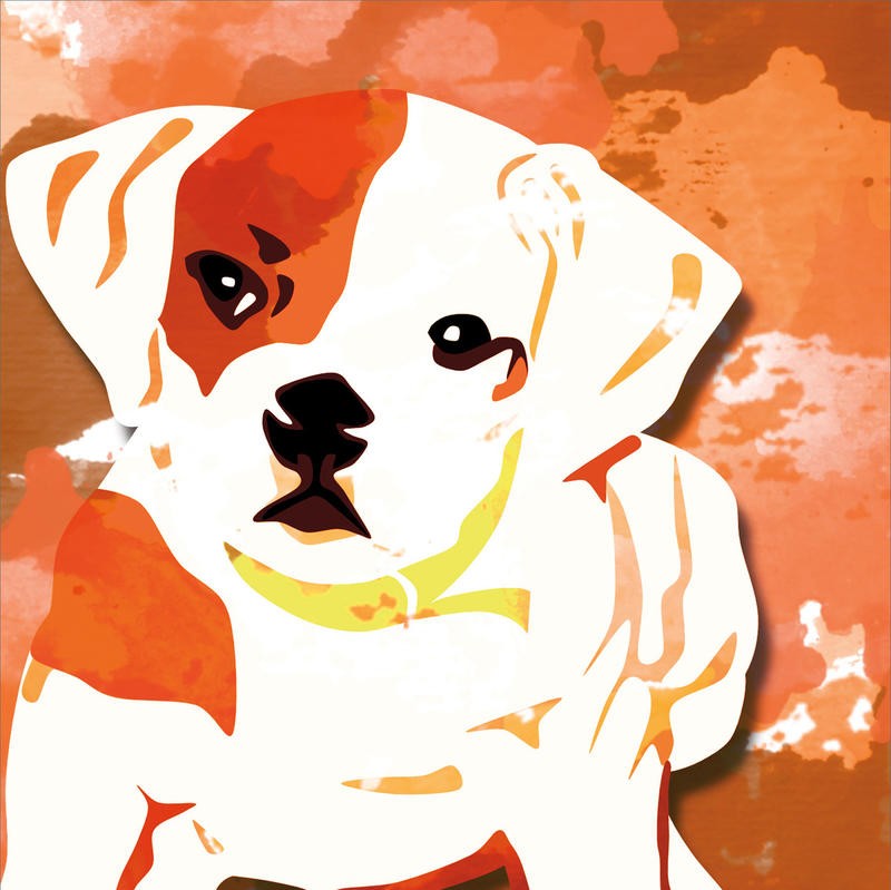 Kimberly Allen, DOG IN COLOR II (Hund, Schlappohren, Hundeblick, Malerei, abstrakter Hintergrund, Tier, zeitgenössisch, Wohnzimmer, Treppenhaus,  Kinderzimmer, Wunschgröße, orange/weiß)