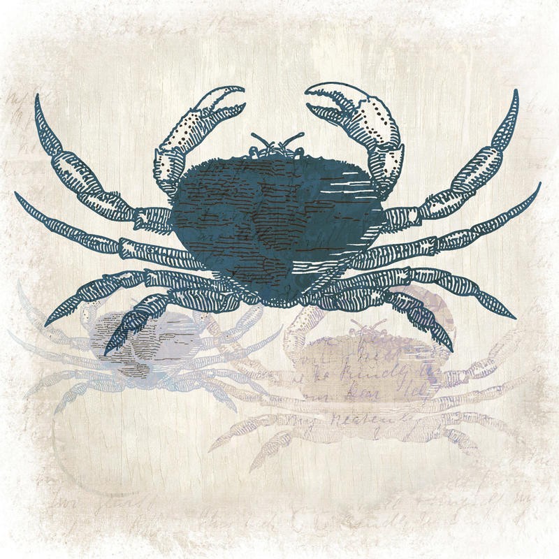 Kimberly Allen, COAST VISION I (Maritim, Krebs, Krabbe, Kaligrafie,  Handschriften, Grafik, Wohnzimmer, Treppenhaus, Badezimmer, Wunschgröße, beige/blau)