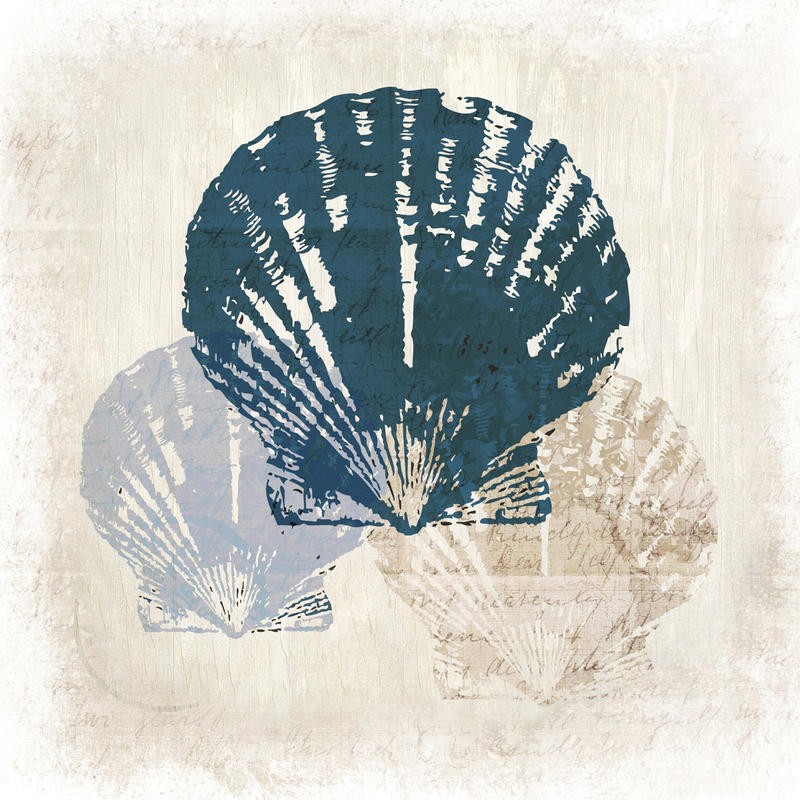 Kimberly Allen, COAST VISION II (Maritim, Jakobsmuscheln, Kaligrafie,  Handschriften, Grafik, Wohnzimmer, Treppenhaus, Badezimmer, Wunschgröße, beige/hellblau)