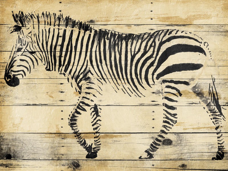 Onrei, ZEBRA WOOD (TIERE)