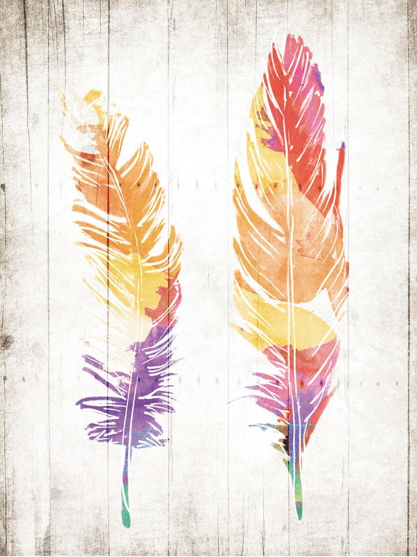 Onrei, WOODEN FEATHERS (VÖGEL)