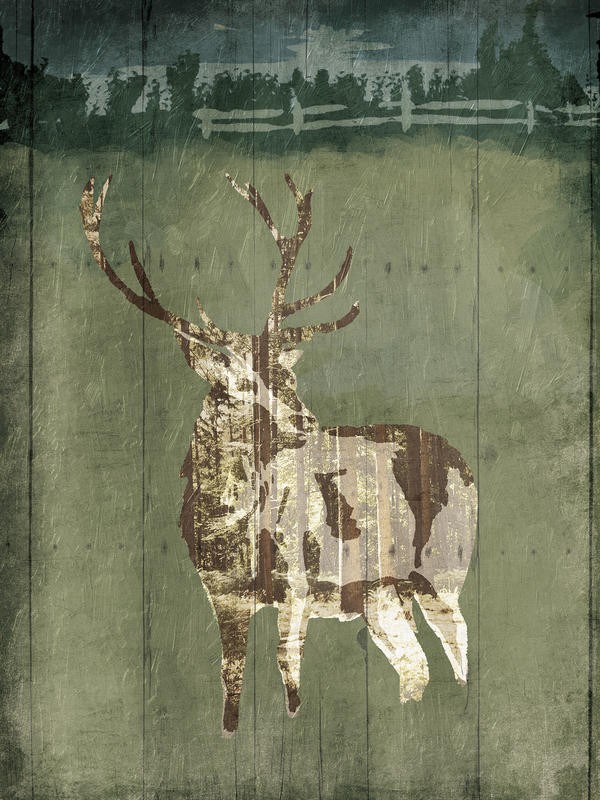 Onrei, IN THE FIELD I (TIERE)
