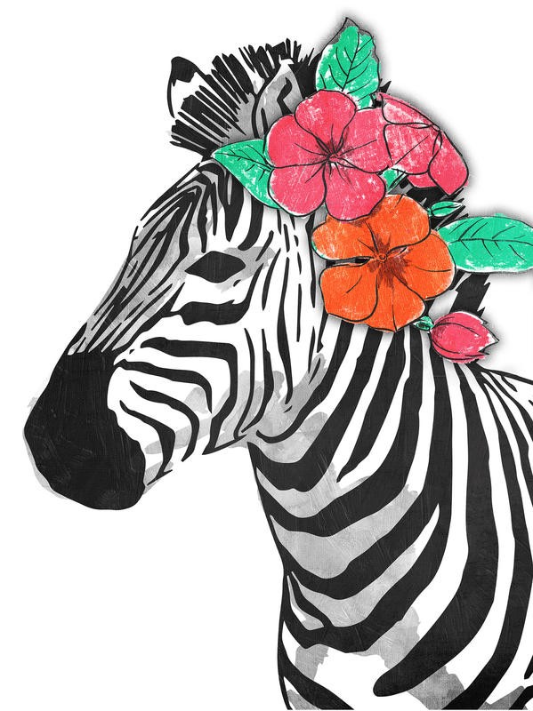 Onrei, FLORAL ZEBRA (TIERE)