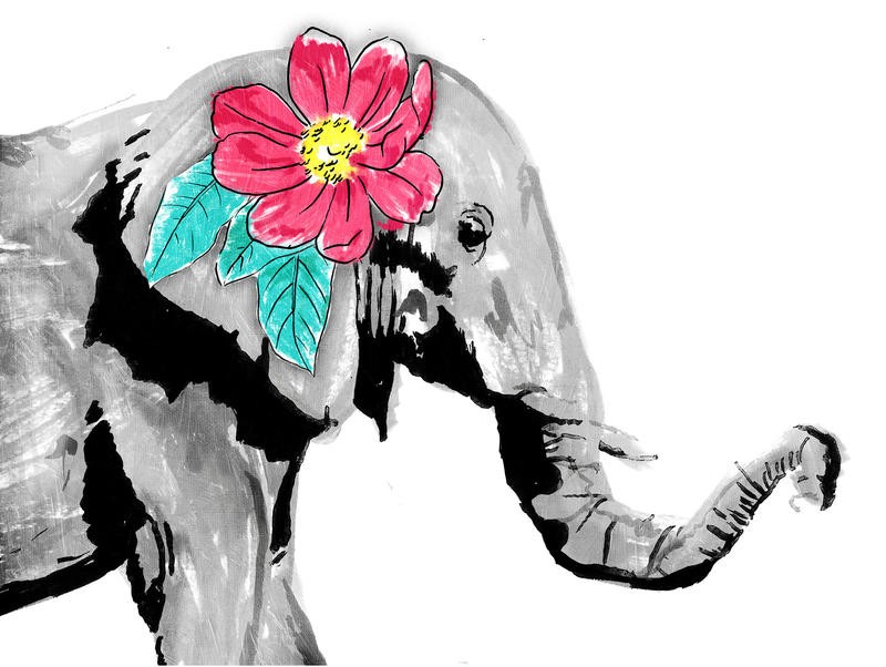 Onrei, FLORAL ELEPHANT (TIERE)