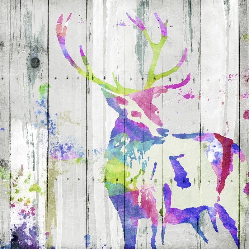 Onrei, DEER GAZE COLORFUL (TIERE)