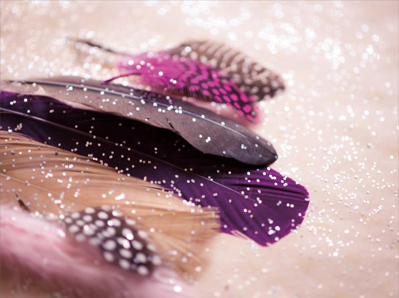 Sonja Quintero, GLITTER FEATHERS (Federn, bunte Federn, Glitzer, Nahaufnahme, Fotokunst, Wunschgröße, Jugendzimmer, bunt)