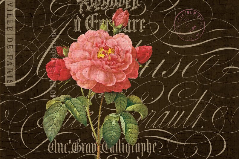 Ophelia & Co, DARK PINK FLOWER I (Blumen, Blüten, Rosen, Vintage, Kalligrafie, Nostalgie, Grafik, Wunschgröße, Wohnzimmer, Treppenhaus, bunt)