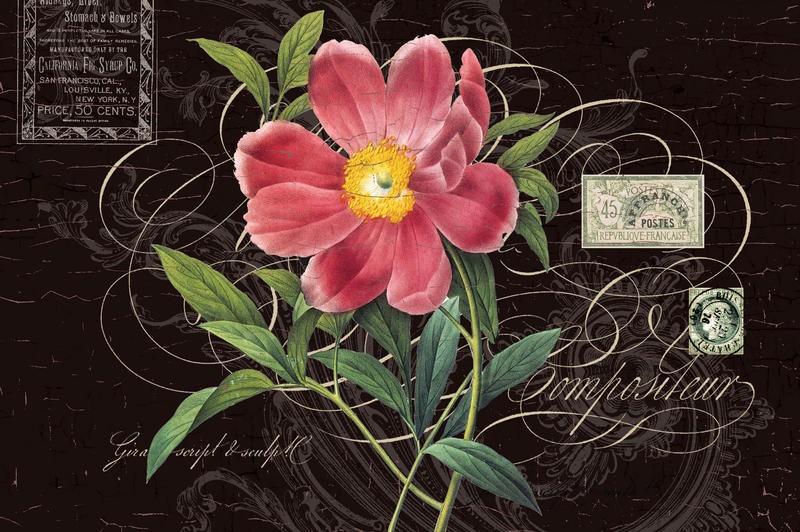 Ophelia & Co, DARK PINK FLOWER II (Blumen, Blüten, Vintage, Kalligrafie, Nostalgie, Grafik, Wunschgröße, Wohnzimmer, Treppenhaus, bunt)
