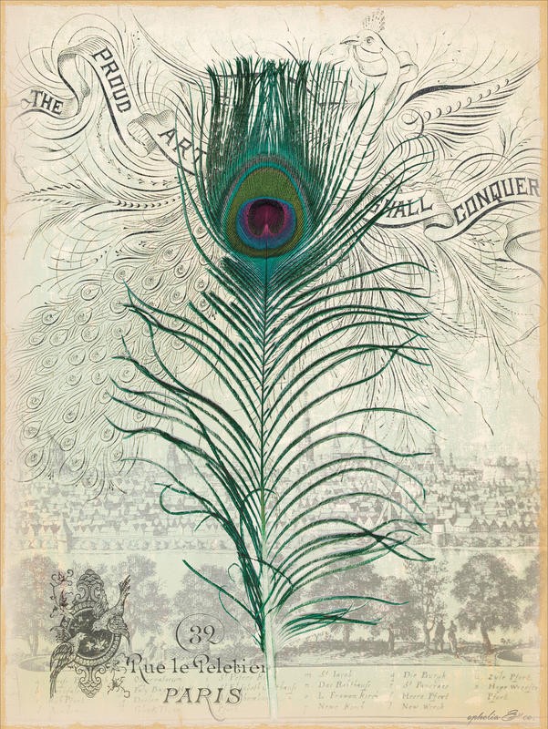 Ophelia & Co, PEACOCK PRIDE I (Pfauenfeder, Pfauenauge,  Kalligrafie, Ornamente, Bäume, Rosen, Nostalgie, Grafik, Wunschgröße, Wohnzimmer, Treppenhaus, bunt)